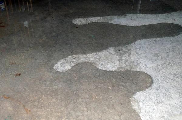 Trusted Crawl Space Repair in Prince George for Foundation Protection